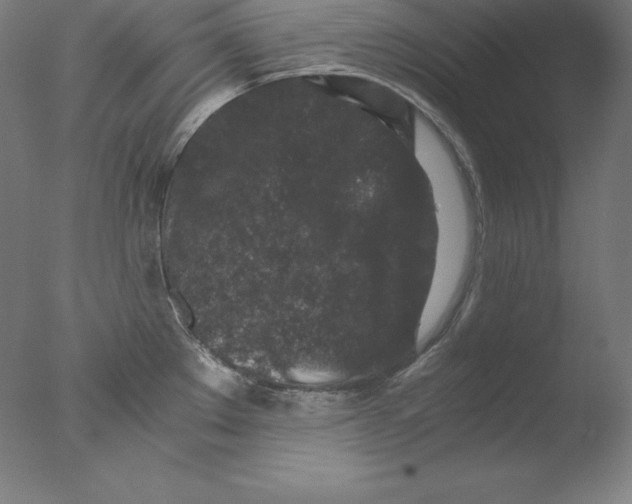 X0000076071289200610202004