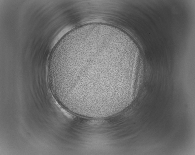 X0000076071290200610202004