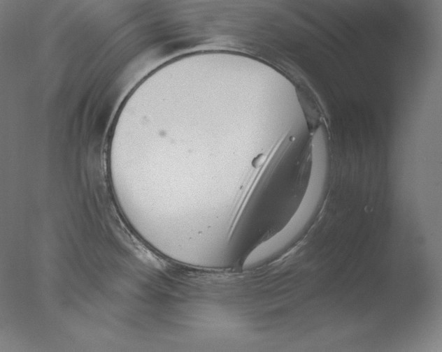 X0000076071292200610202004