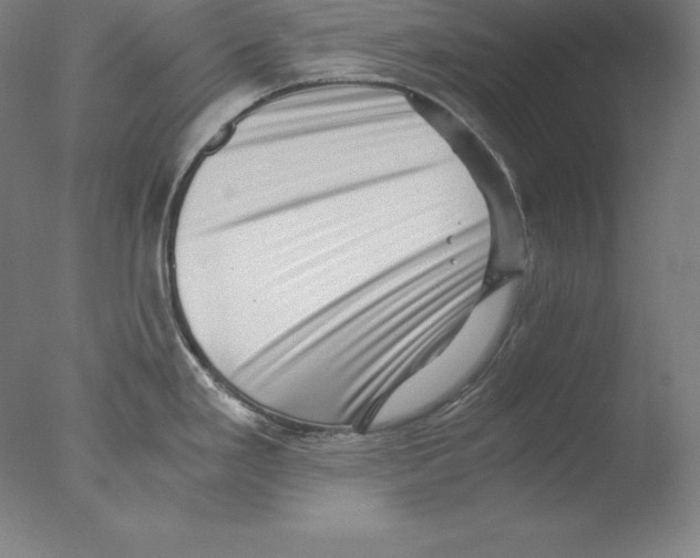 X0000076071293200610202004