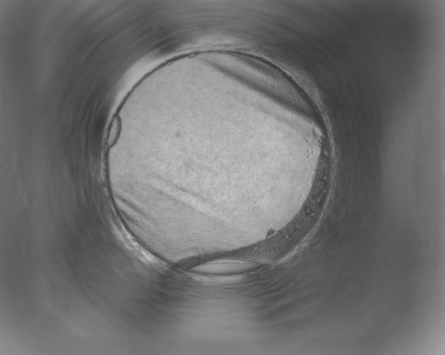 X0000076071296200610202004