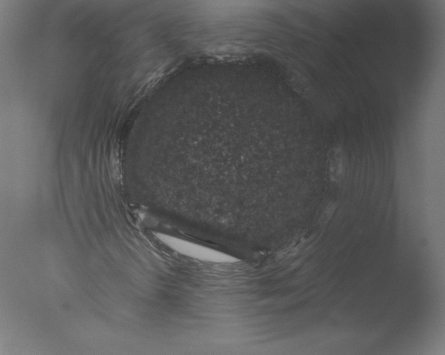 X0000076071298200610202003