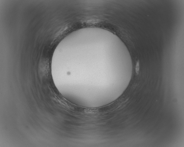 X0000076071299200610202003