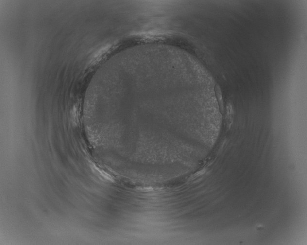 X0000076071300200610202003