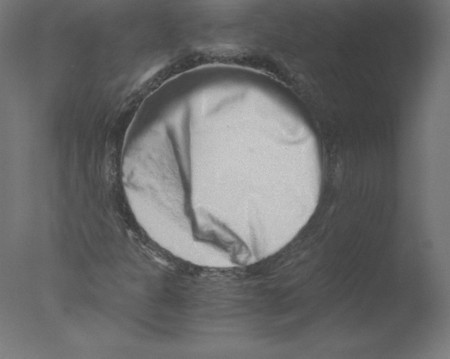 X0000076071301200610202003