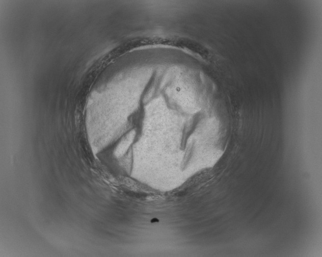 X0000076071302200610202003