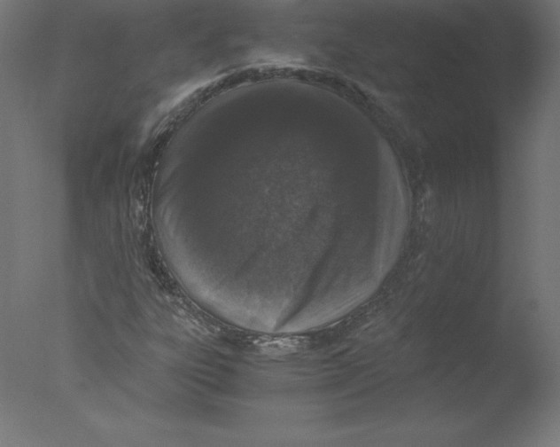 X0000076071303200610202003