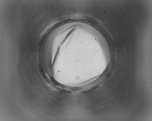 X0000076071304200610202003