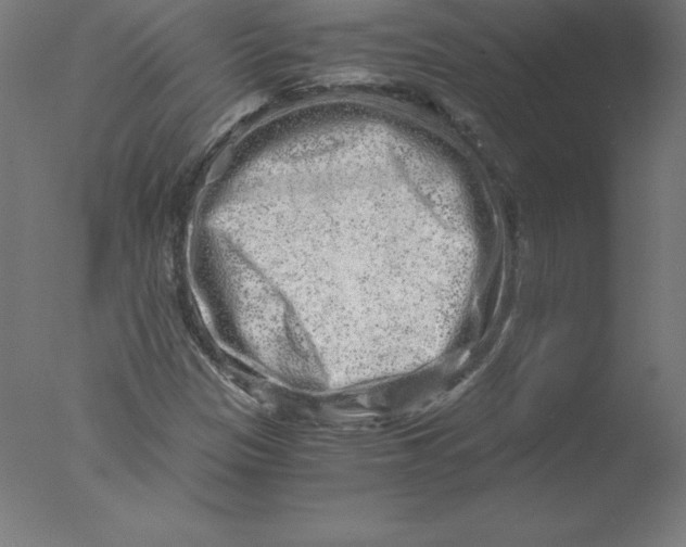 X0000076071305200610202003