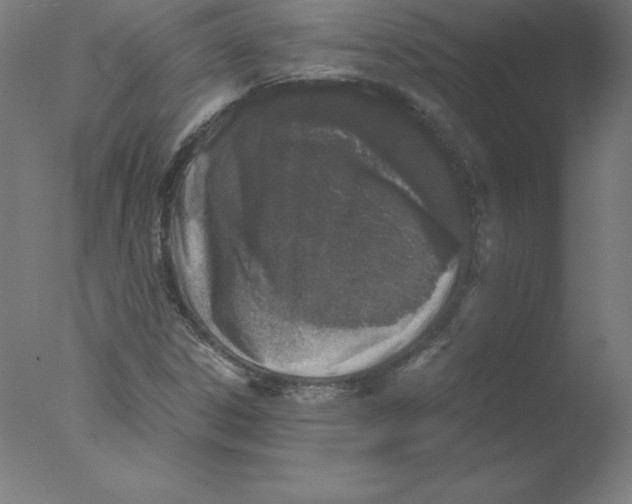 X0000076071306200610202004