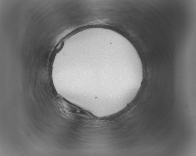 X0000076071308200610202004