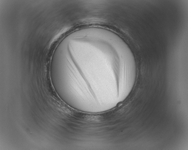 X0000076071309200610202004