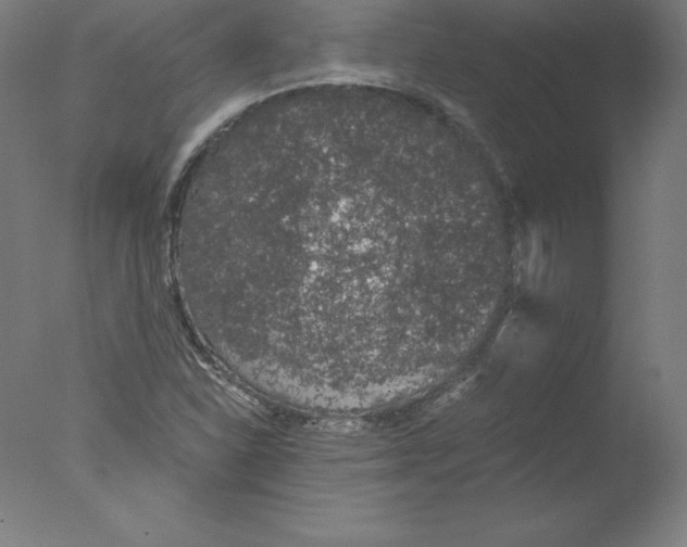 X0000076071310200610202004