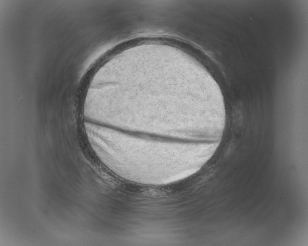 X0000076071311200610202004