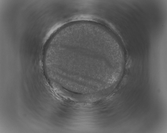 X0000076071312200610202004