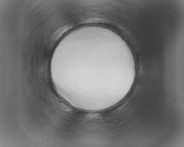 X0000076071313200610202004