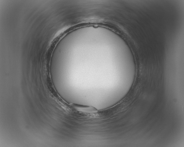 X0000076071315200610202004