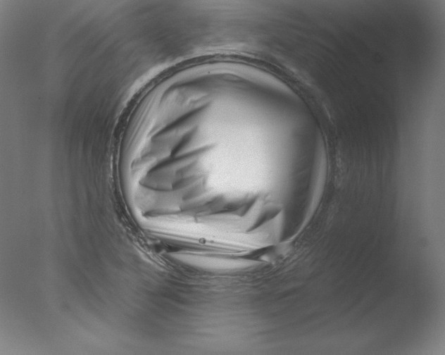 X0000076071316200610202004