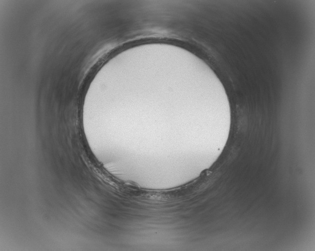 X0000076071318200610202004