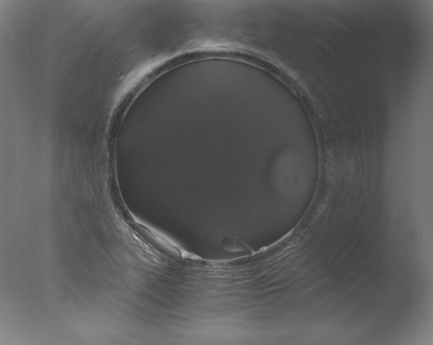 X0000076071319200610202004