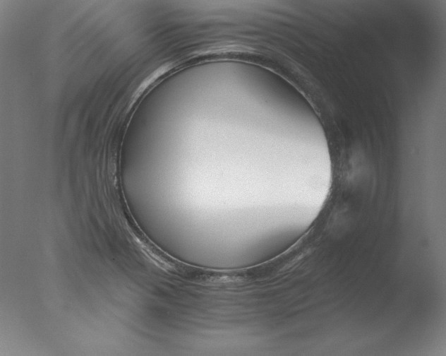 X0000076071321200610202004