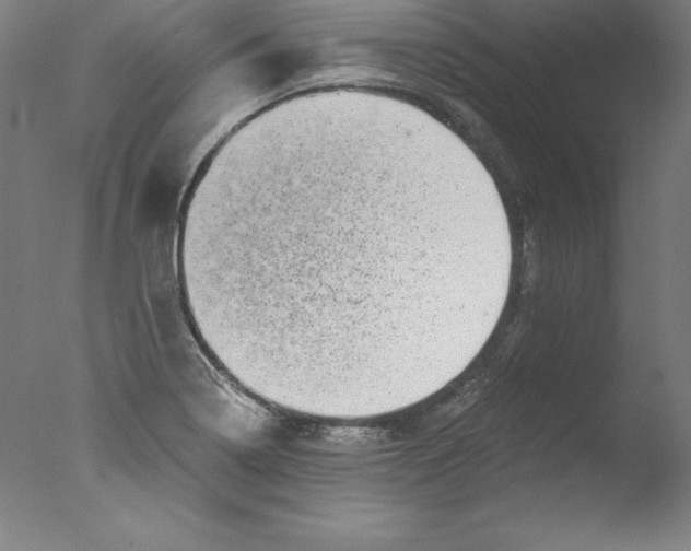 X0000076071322200610202004