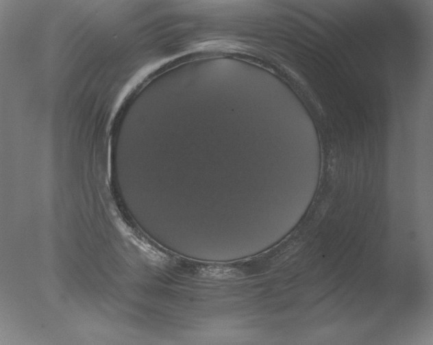 X0000076071323200610202004