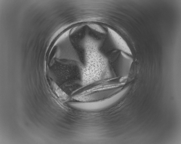 X0000076071324200610202004