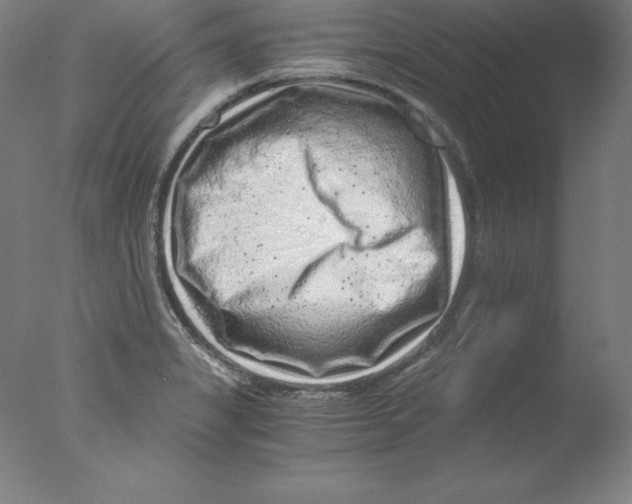 X0000076071325200610202004