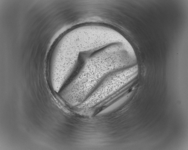 X0000076071326200610202004