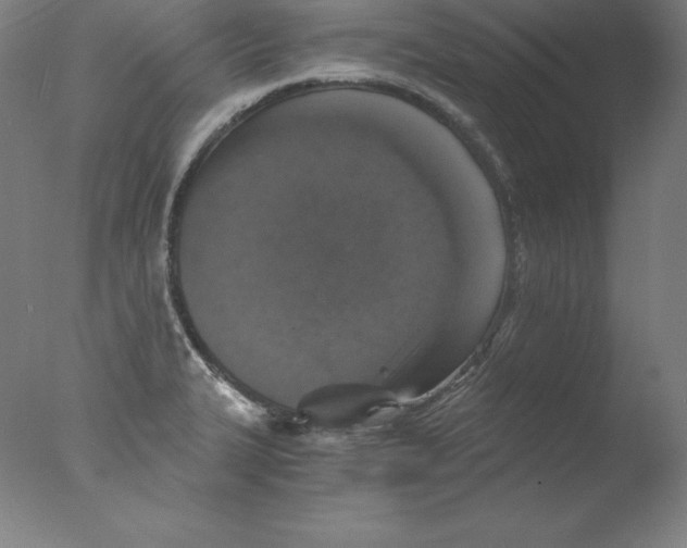 X0000076071327200610202004