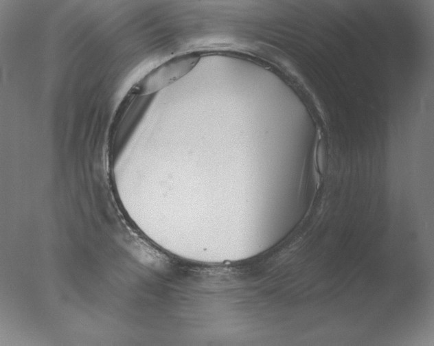 X0000076071328200610202004