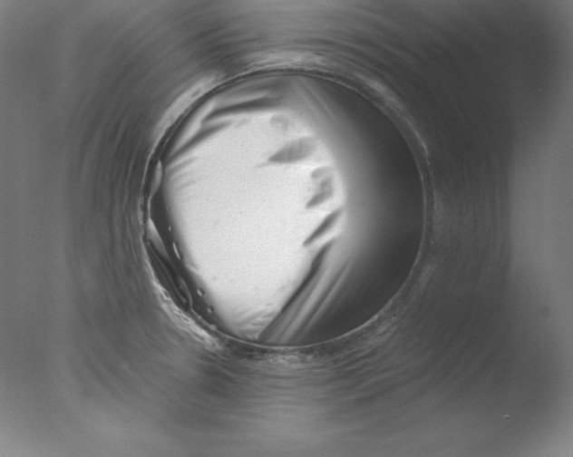 X0000076071330200610202004