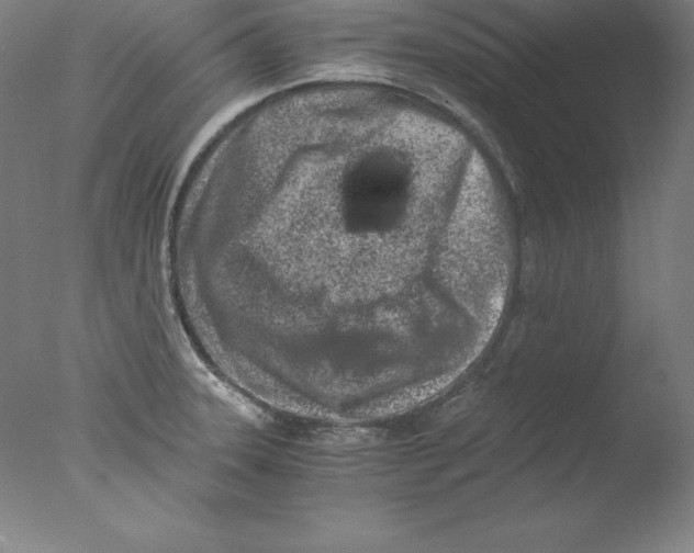 X0000076071331200610202004