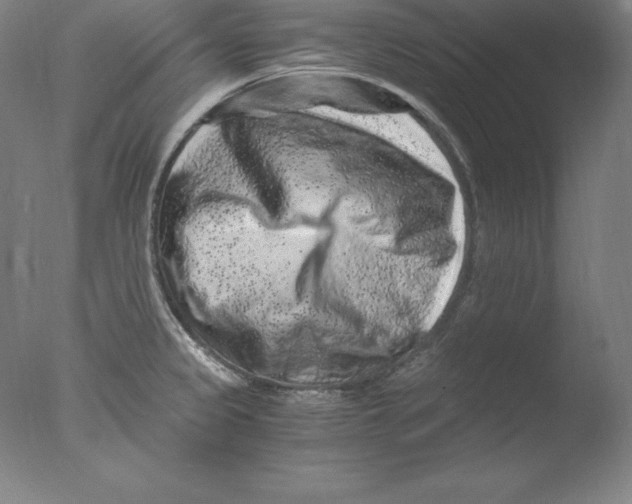 X0000076071333200610202004