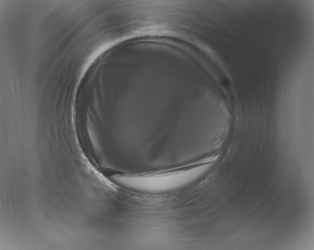 X0000076071334200610202004