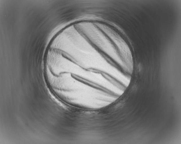 X0000076071335200610202004