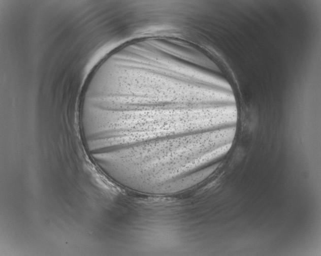 X0000076071336200610202004