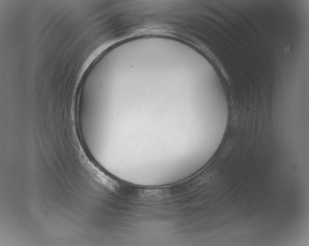 X0000076071339200610202004