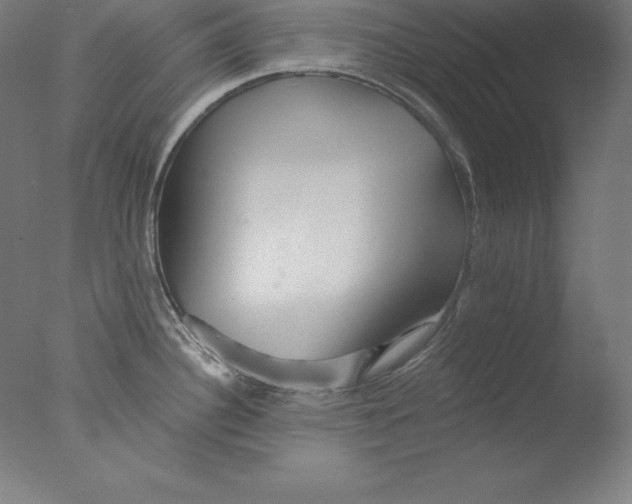 X0000076071340200610202004