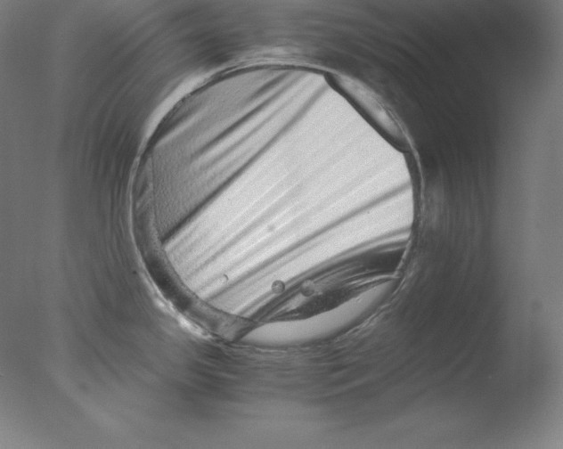 X0000076071341200610202004