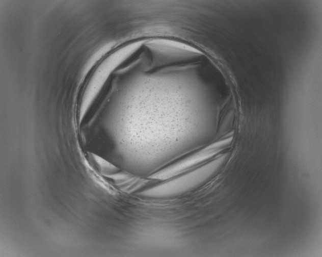 X0000076071342200610202004