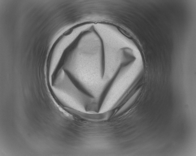 X0000076071343200610202004