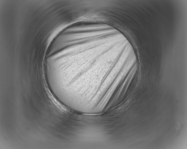 X0000076071344200610202004