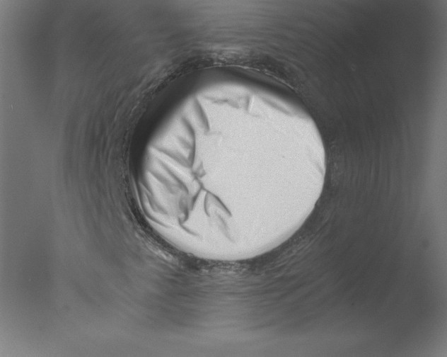 X0000076071345200610202003