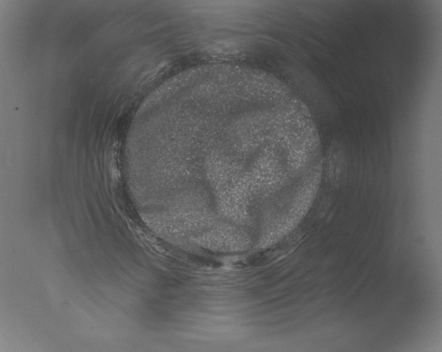 X0000076071346200610202003