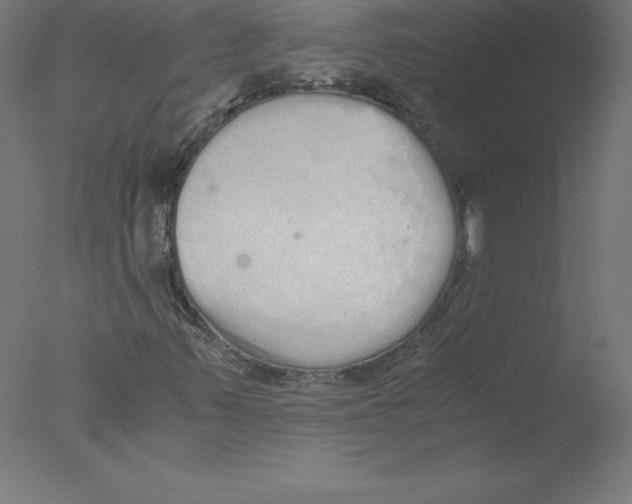 X0000076071347200610202003