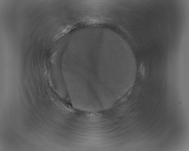 X0000076071348200610202003