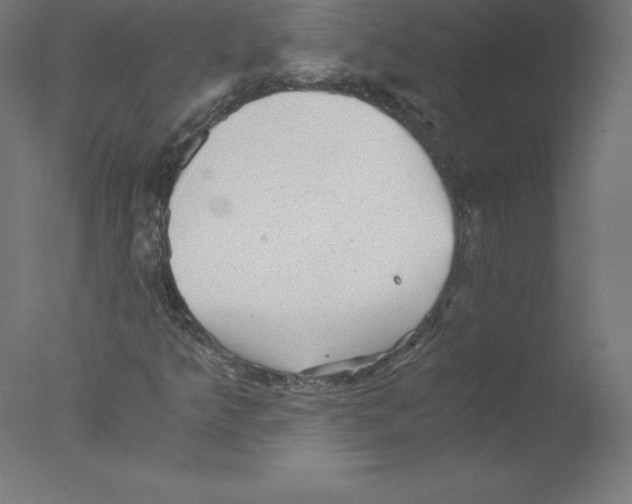 X0000076071349200610202003