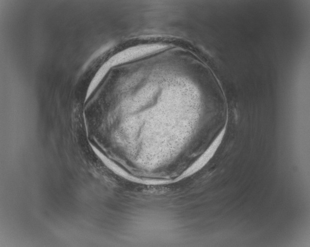 X0000076071351200610202003